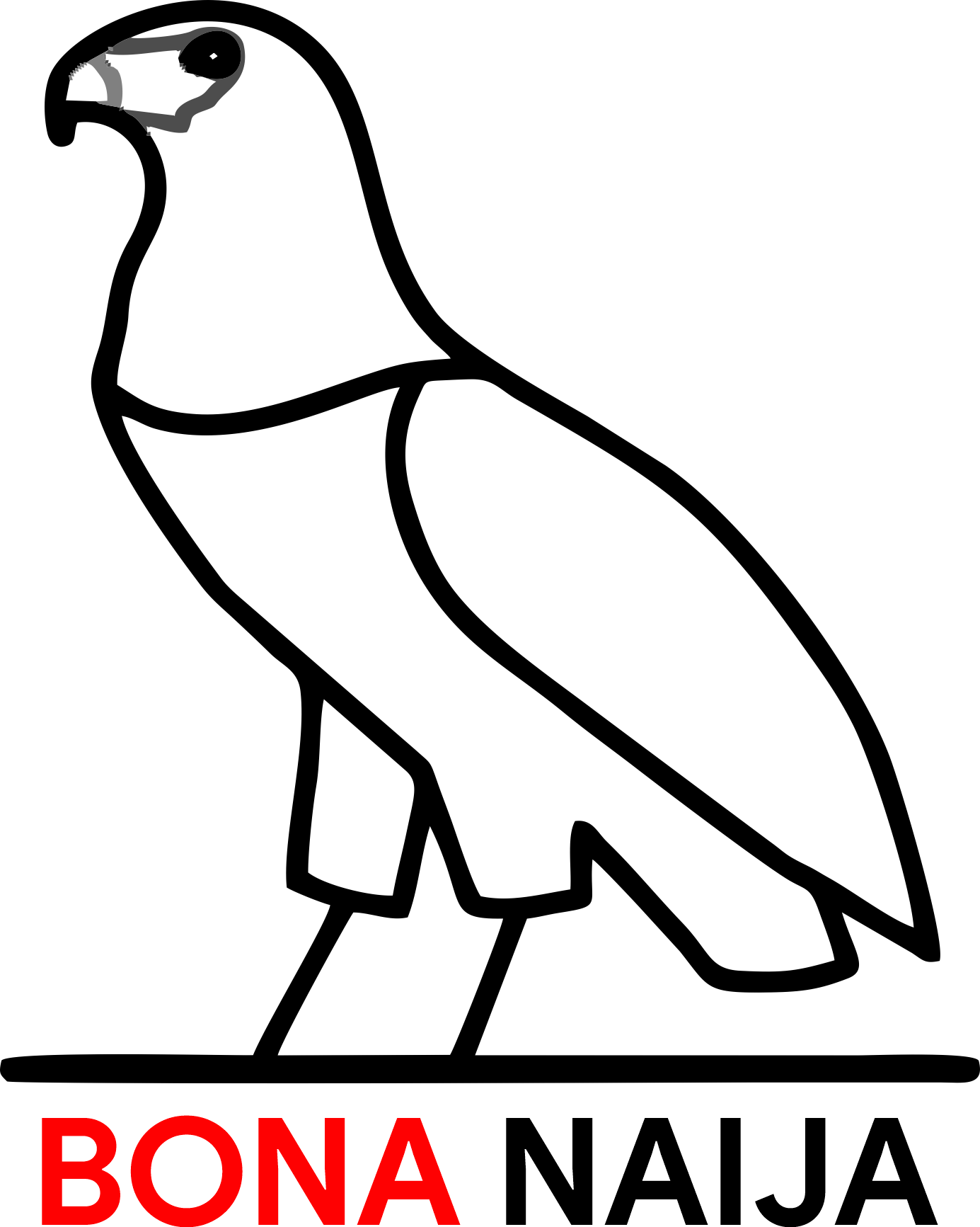 Bona Naija Logo